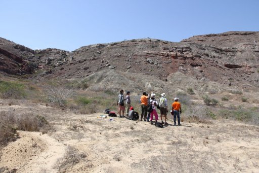 Benguela Basin Integrated Study (Angola) 