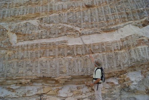 Kwanza Basin Clastic Sedimentology (Angola) 