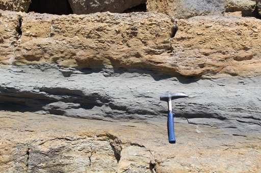 Consolaao Beach_Mudstone bioclastic Sandstone