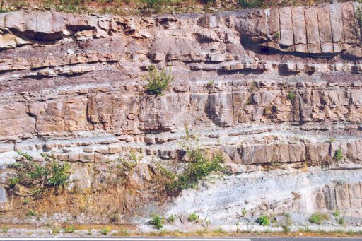 Reservoir Details Outcrop