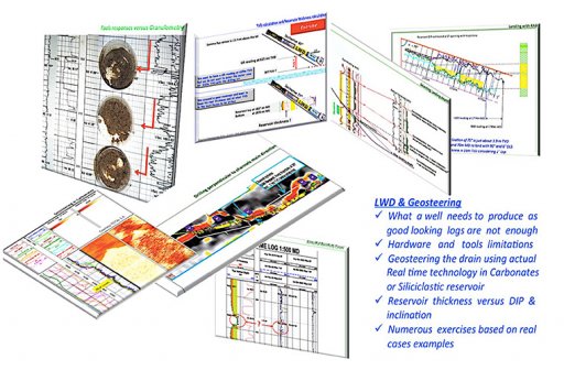LWD and Geosteering