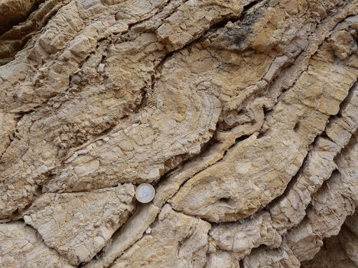 8-Cameros-Basin-Integrated-Study