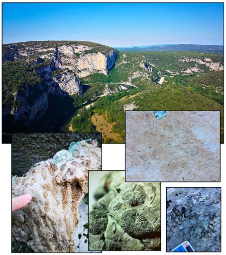 Urgonian facies