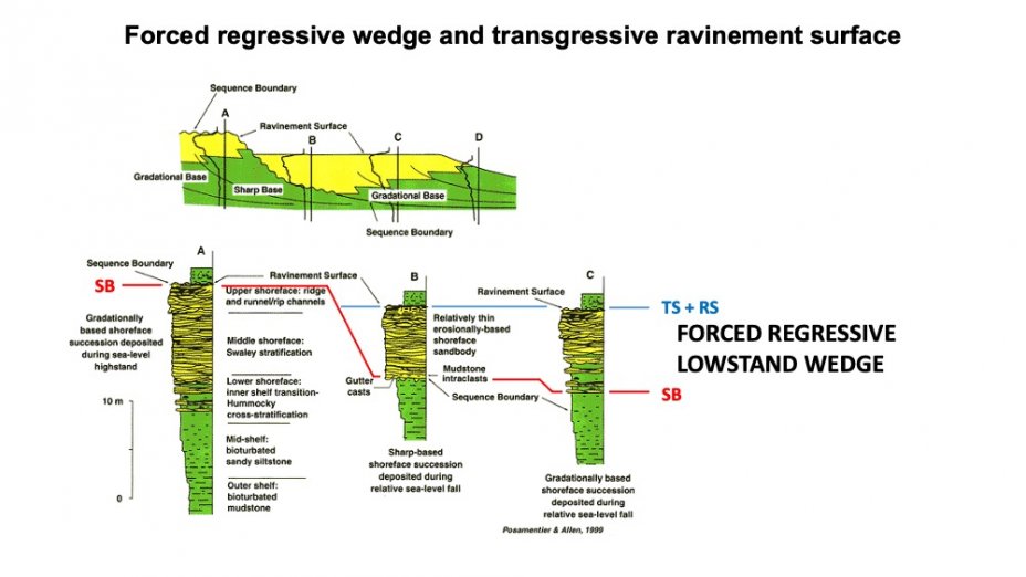 3_Forced regressive wedge and transgressive ravinement surface
