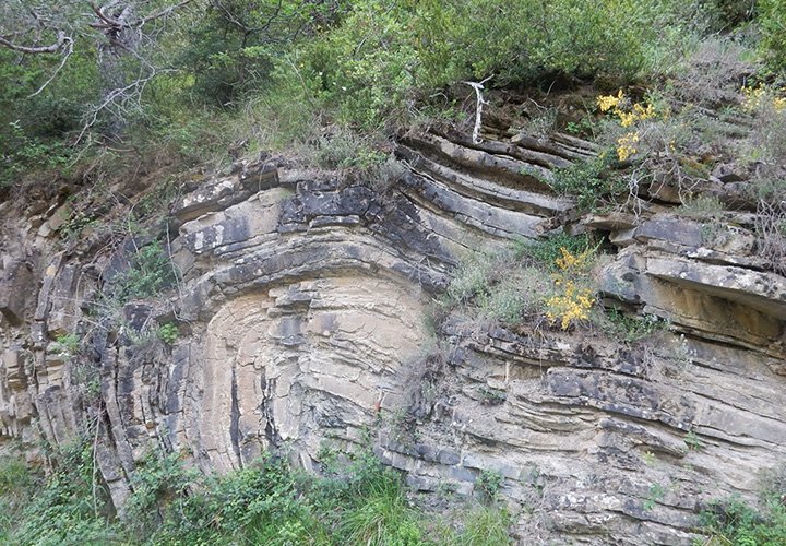 2_Folds_and_Thrust_Belts