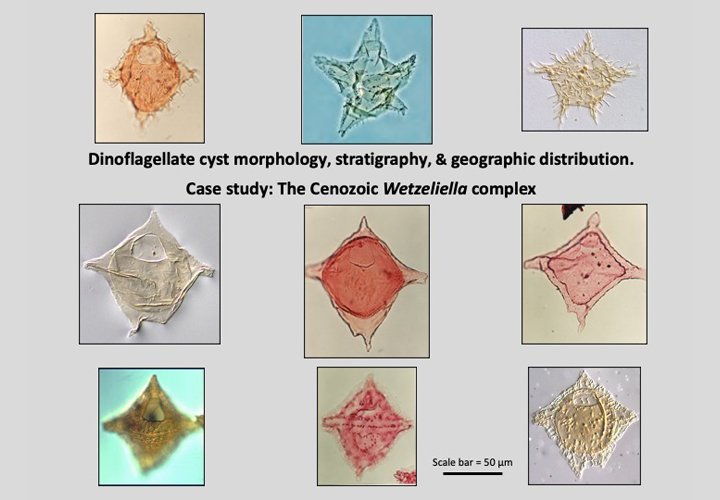 2_Cenozoic_dinofalgellates