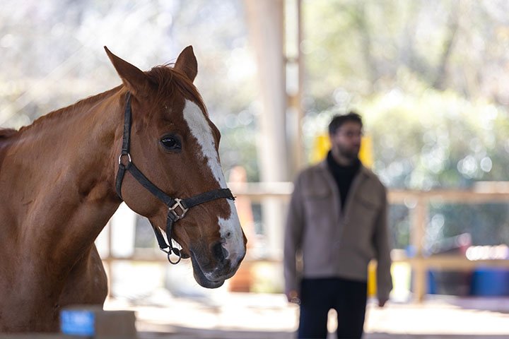 Communiquer autrement : écouter, dire, incarner