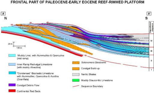 PALEOGENE CARBONATE RESERVOIR GEOMETRIES INFLUENCED BY TECTONICS & EUSTACY